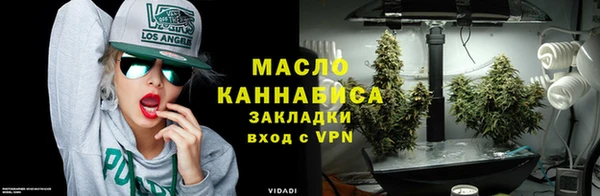 ГАЛЛЮЦИНОГЕННЫЕ ГРИБЫ Вяземский