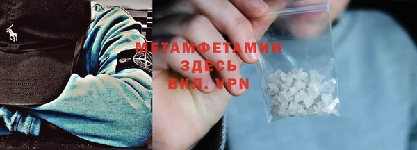ГАЛЛЮЦИНОГЕННЫЕ ГРИБЫ Вяземский
