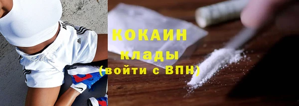 сатива Вязьма