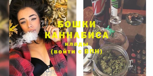 ГАЛЛЮЦИНОГЕННЫЕ ГРИБЫ Вяземский