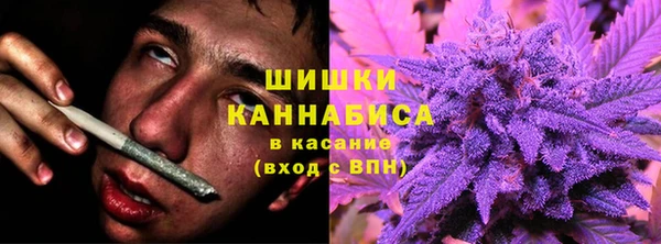 сатива Вязьма