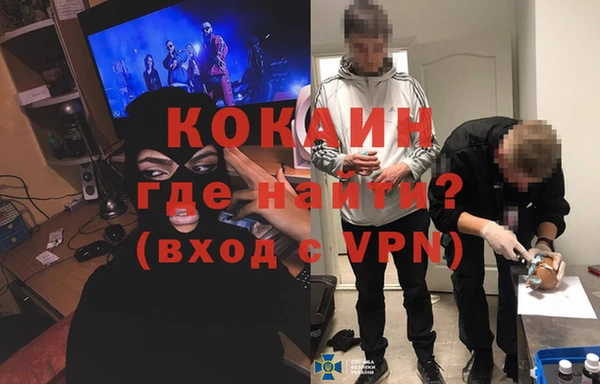 сатива Вязьма